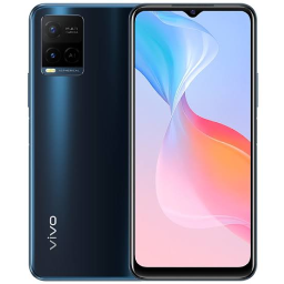 Vivo Y21 2021