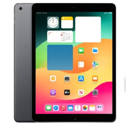 iPad 10.2" 9th Gen Wi-Fi + Cellular (2021)