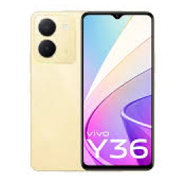Vivo Y36