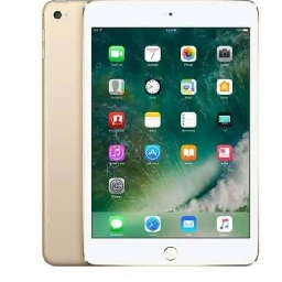 iPad Mini 3rd Gen (Wi-Fi Only)