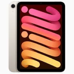 iPad Mini 6th Gen (Wi-Fi + Cellular)