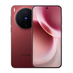 Vivo X300