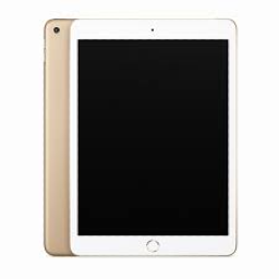 iPad Air 2nd Gen (Wi-Fi Only)