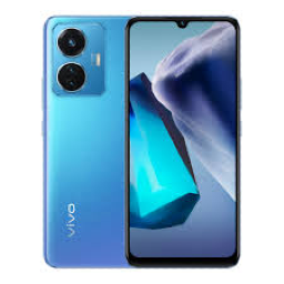 Vivo T1