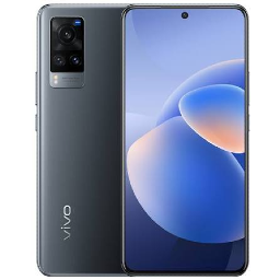 Vivo X60