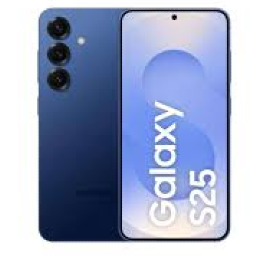 Samsung Galaxy S25 5G