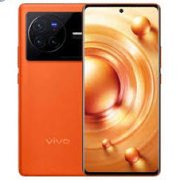 Vivo X80