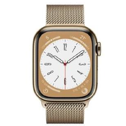 Apple Watch Series 8 45mm Stainless Steel (GPS+Cellular)