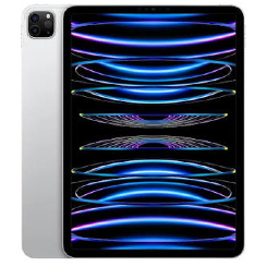 iPad Pro 11" 4th Gen Wifi + Cellular (2022)