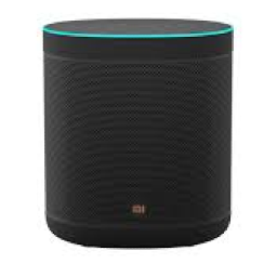 Mi Smart Speaker