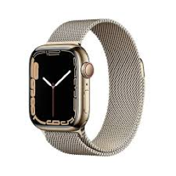 Apple Watch Series 7 41mm Stainless Steel (GPS+Cellular)