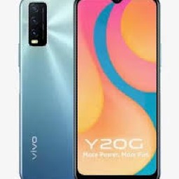 Vivo Y20G
