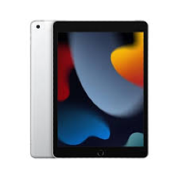 iPad 8th Gen Wi-Fi + Cellular (2020)